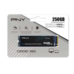 اس اس دی PNY CS1030 M.2 250GB