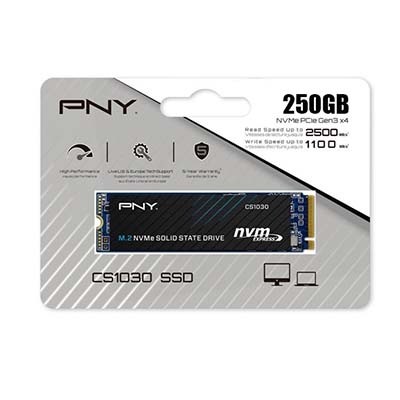 اس اس دی PNY CS1030 M.2 250GB