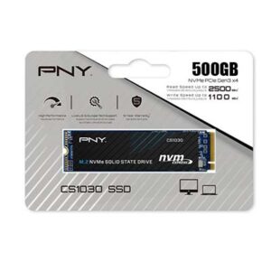 اس اس دی PNY CS1030 M.2 500GB
