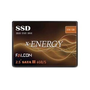 اس اس دی X-Energy FALCON 256GB